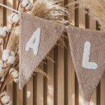 B51658AB-8A68-4E02-A7A8-7D72E0531FCB